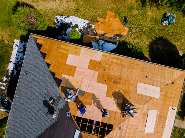 Best Roof Restoration Services  in Tok, AK