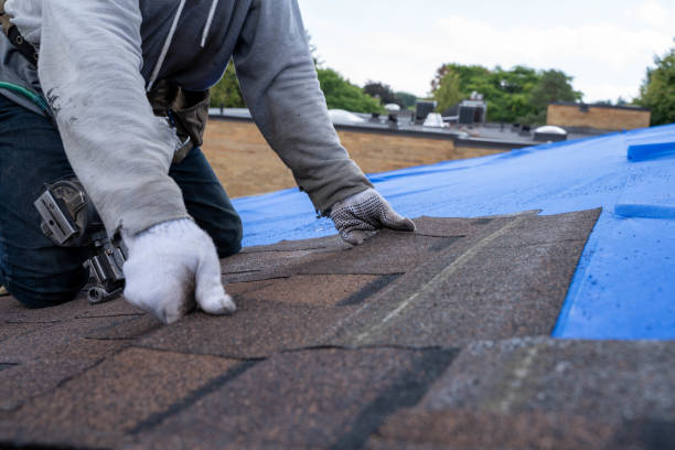 Best Residential Roofing Contractor  in Tok, AK